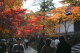 image0004