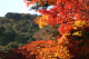 image0005