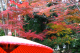 image0007