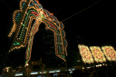 image0006