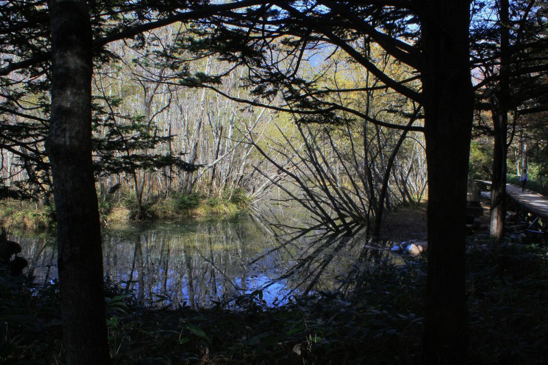 image0012