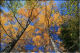 image0008