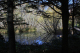 image0012
