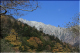 image0017