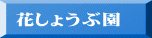 Ԃ傤ԉ