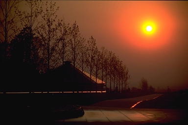 ���̌�������8