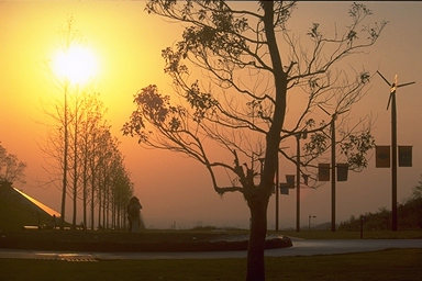 ���̌�������2