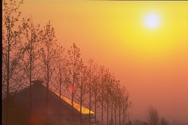 ���̌�������4 