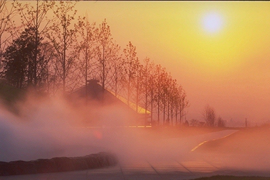 ���̌�������5