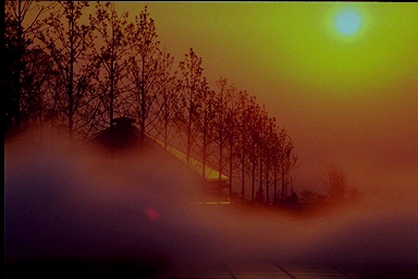 ���̌�������7