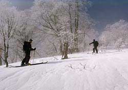 climbing up Mt. Maeyama