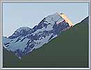 NZ08