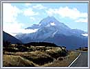 nz_39